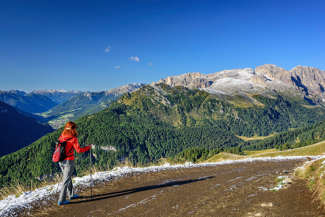 Frau beim Wandern mit Fassatal und Rosengartengruppe im Hintergrund, Friedrich-August-Weg, Langkofelgruppe, Dolomiten, UNESCO Weltnaturerbe Dolomiten, Trentino, Italien