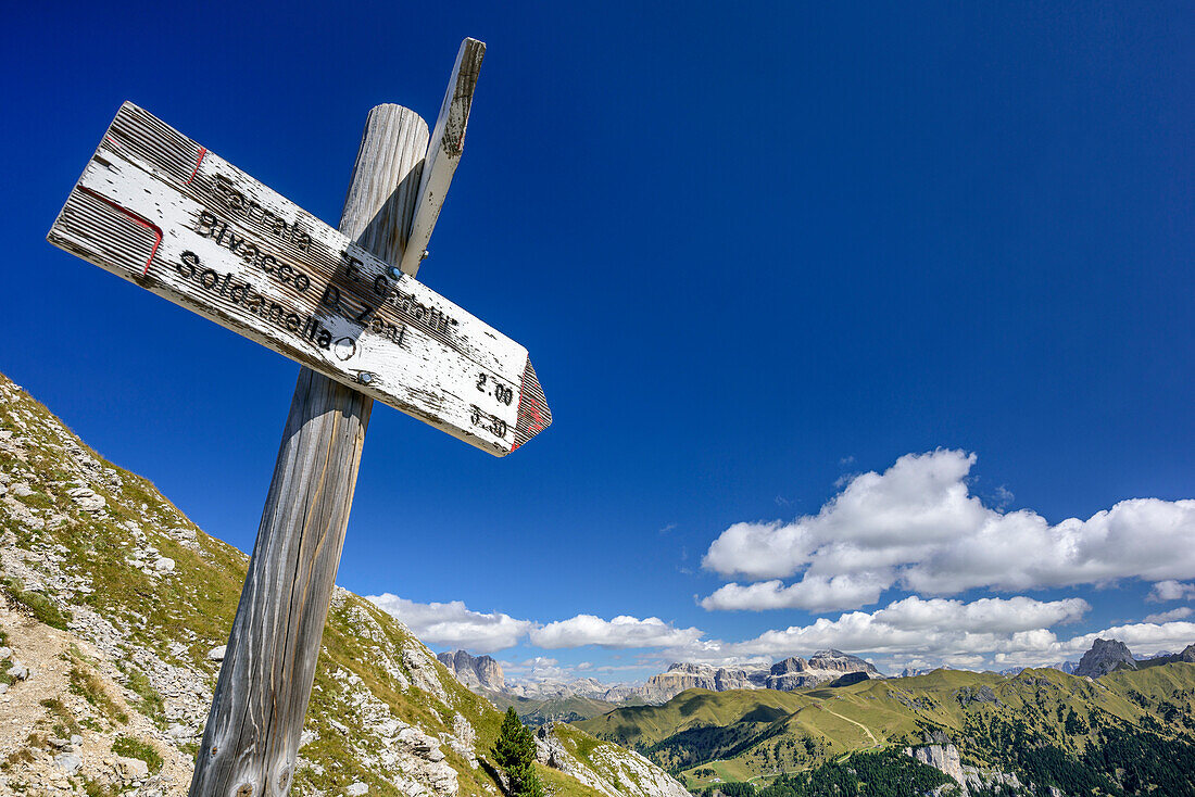 Wooden signpost pointing towards Sella group, fixed rope route Gadotti, Vallaccia range, Marmolada, Dolomites, UNESCO World Heritage Dolomites, Trentino, Italy