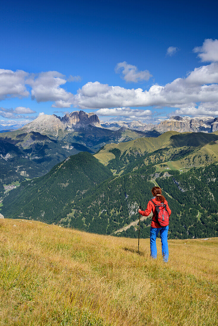 Frau beim Wandern steigt vom Sas Aut ab, Langkofel und Sellagruppe im Hintergrund, Sas Aut, Vallacciagruppe, Marmolada, Dolomiten, UNESCO Weltnaturerbe Dolomiten, Trentino, Italien