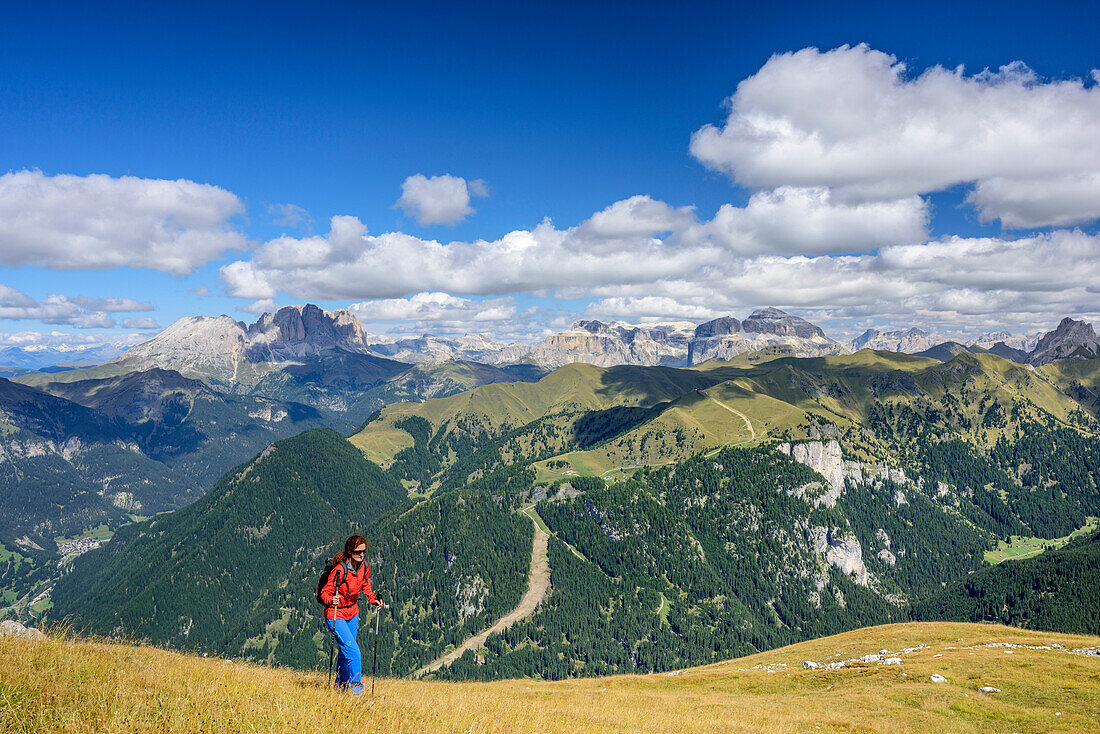 Frau beim Wandern steigt zum Sas Aut auf, Langkofel und Sellagruppe im Hintergrund, Sas Aut, Vallacciagruppe, Marmolada, Dolomiten, UNESCO Weltnaturerbe Dolomiten, Trentino, Italien