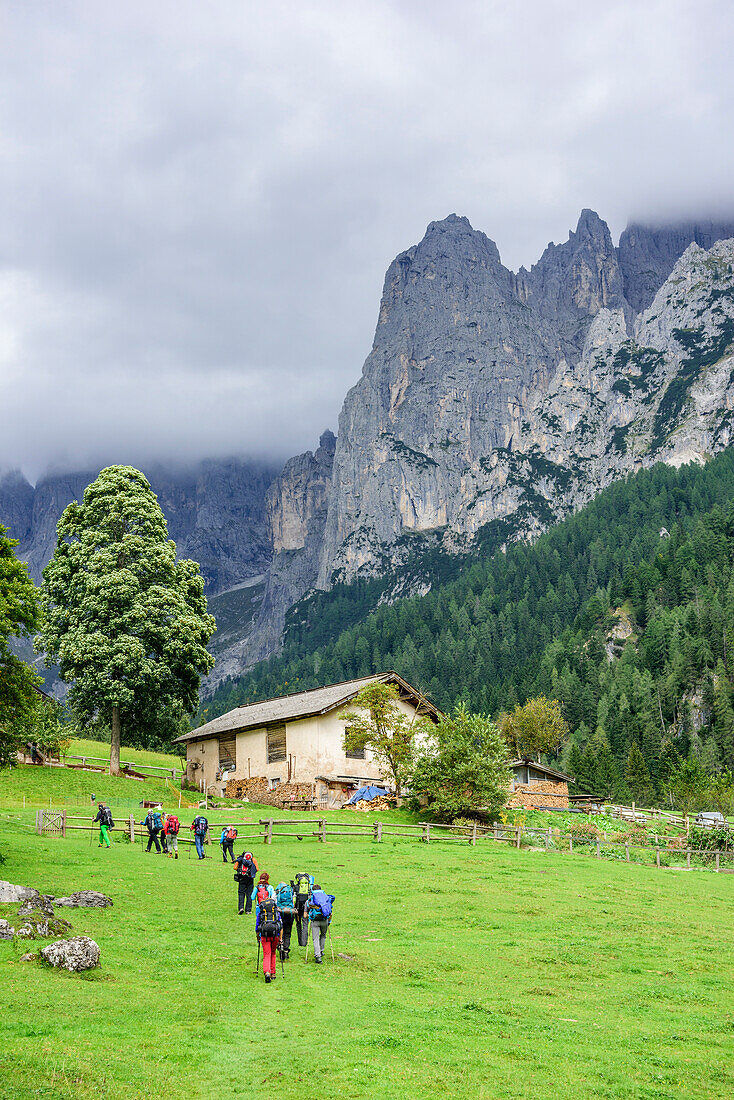 Mehrere Wanderer wandern zu Alm, Val Canali, Pala, Dolomiten, UNESCO Weltnaturerbe Dolomiten, Trentino, Italien