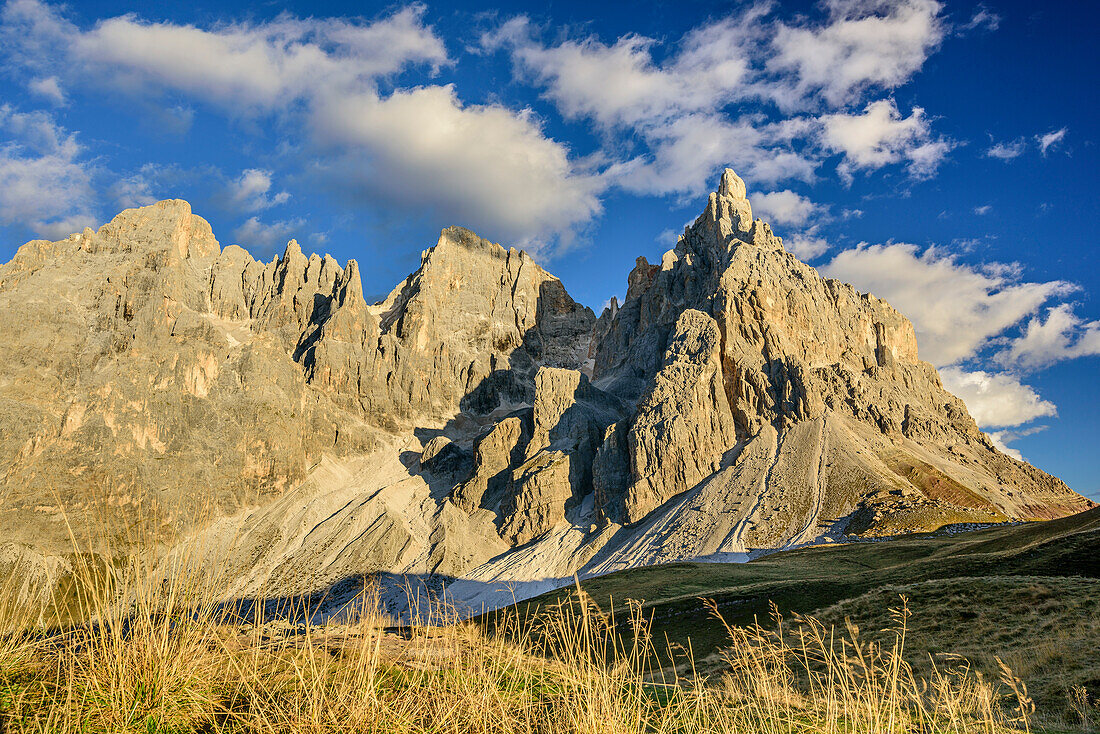 Cima dei Bureloni, Cima della Vezzana and Cimon della Pala, Pala range, Dolomites, UNESCO World Heritage Dolomites, Trentino, Italy