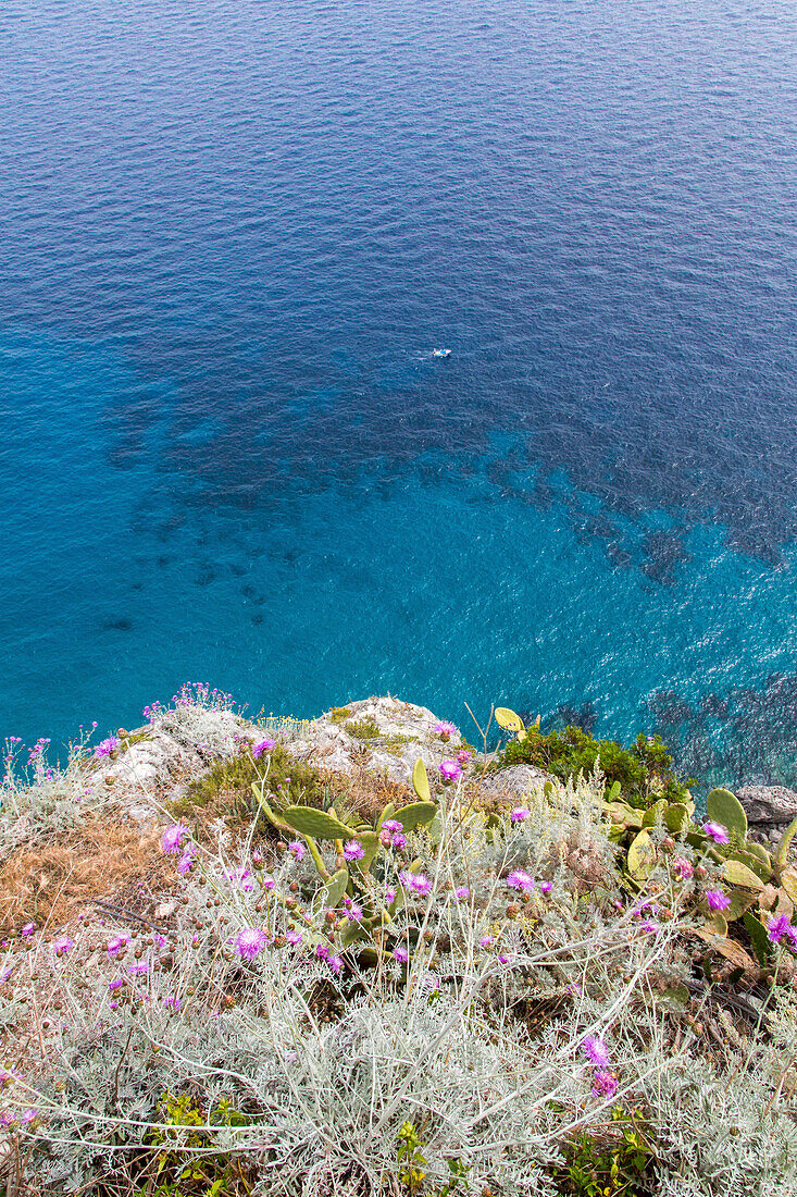 Island of Capri, tourism, blue water, Campania, Gulf of Naples, coast, mountains, destination, holiday, picturesque, mediterranean, Campania, Italy