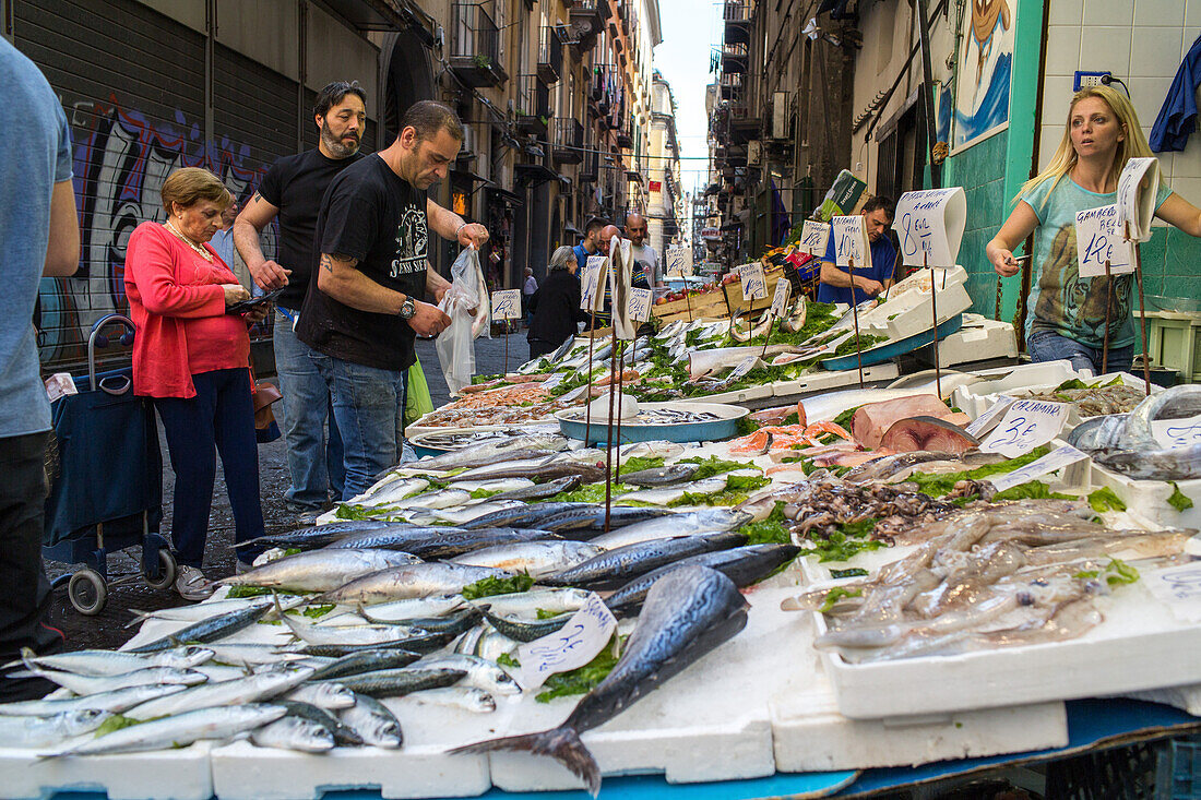 Fischmarkt in der Altstadt, Fischstand, Pescheria Alberto, Strassenverkauf, Via Pasquale Scura, frische Fische, Neapel, Napoli, Italien