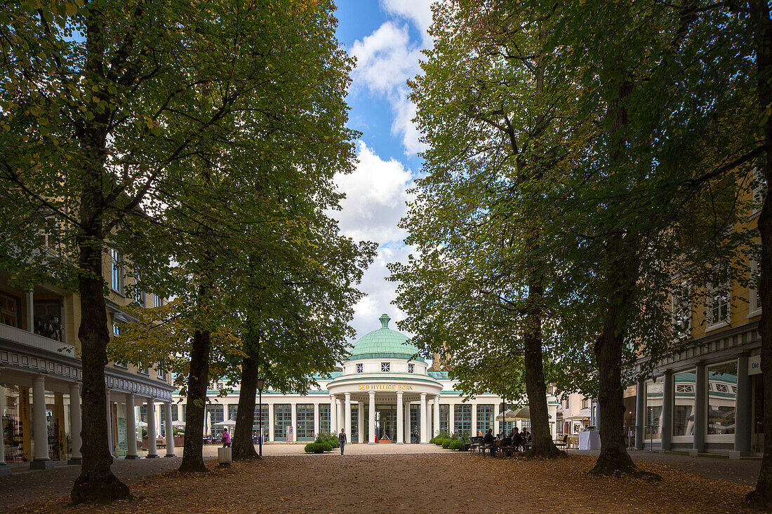 avenue of trees, Brunnenhaus, mineral springs, spa town, Bad Pyrmont, Lower Saxony, Germany