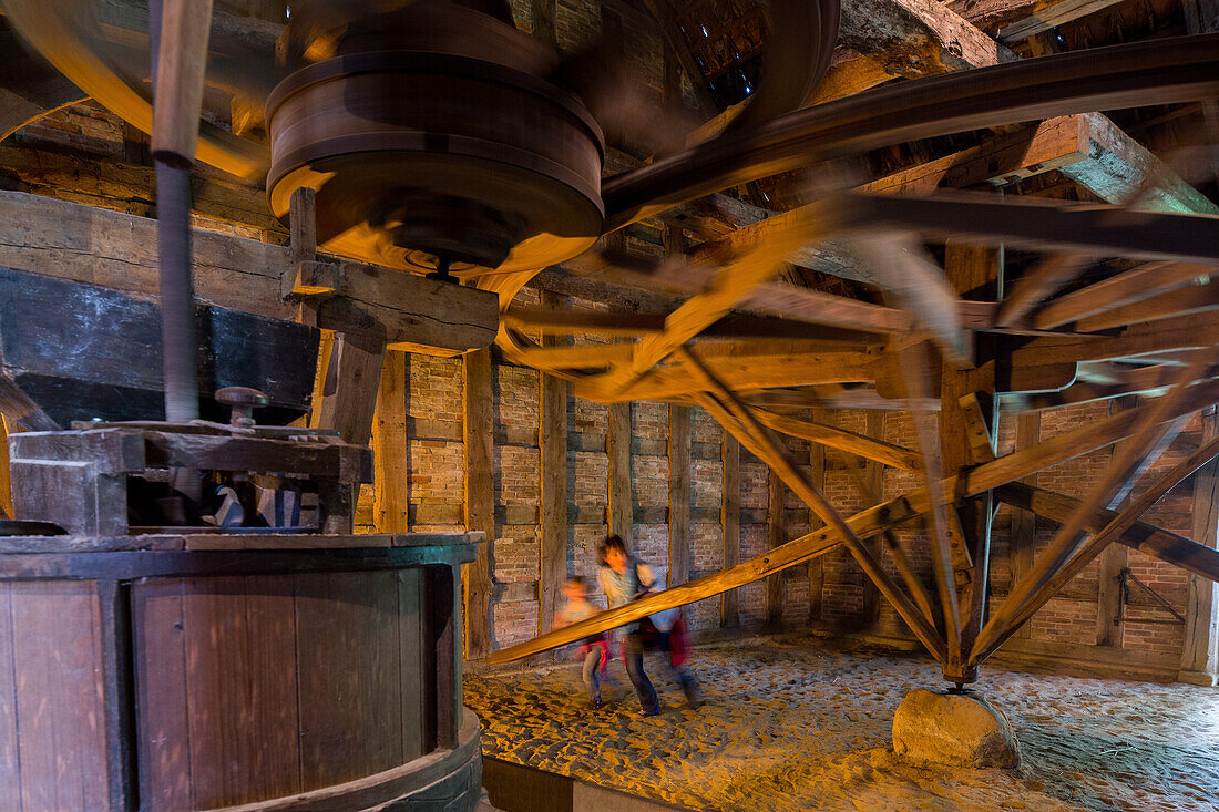horse mill, grain mill powered by muscle, children at Cloppenburg Museum Village, Lower Saxony, Germany