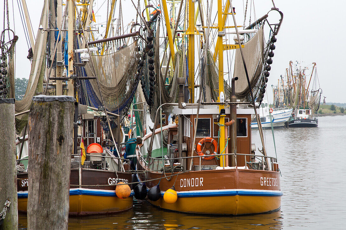 Krabbenboote, Greetsiel, Fischerei Hafen, ostfriesischer Nordseekueste, Niedersachsen, Deutschland