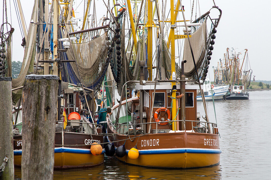 shrimp fishing boats, Greetsiel, Leybucht, East Frisian coast, Lower Saxony, Germany