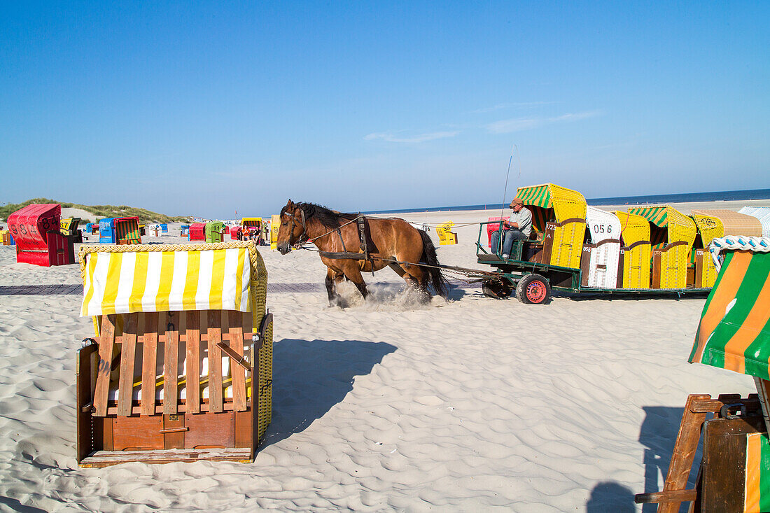 Sandstrand, Saisonende, Pferdegespann transportieren Strandkoerbe vom Strand, Nordseeinsel Juist, Ostfriesland, Niedersachsen, Deutschland