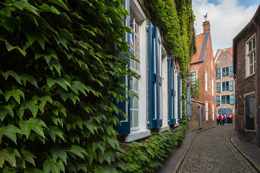 Seehafen, Ems, Altstadt, Stadt Leer, Backsteingiebel, efeuueberwachsene Backsteinfassade, Niedersachsen, Deutschland