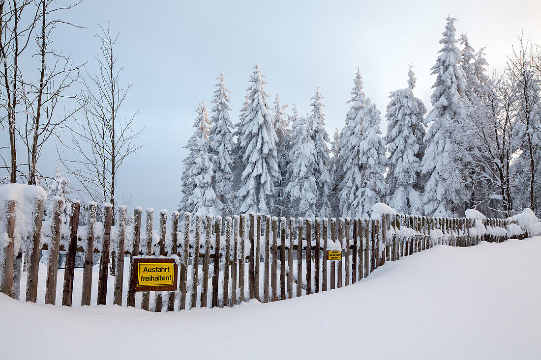 winter snow, fence, Torfhaus, forest, Harz Mountains, Lower Saxony, Germany