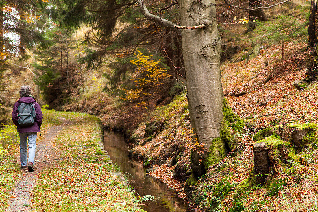 Upper Harz Water Regale, water system, World Heritage Site, Harz Mountains, Lower Saxony, Northern, Germany