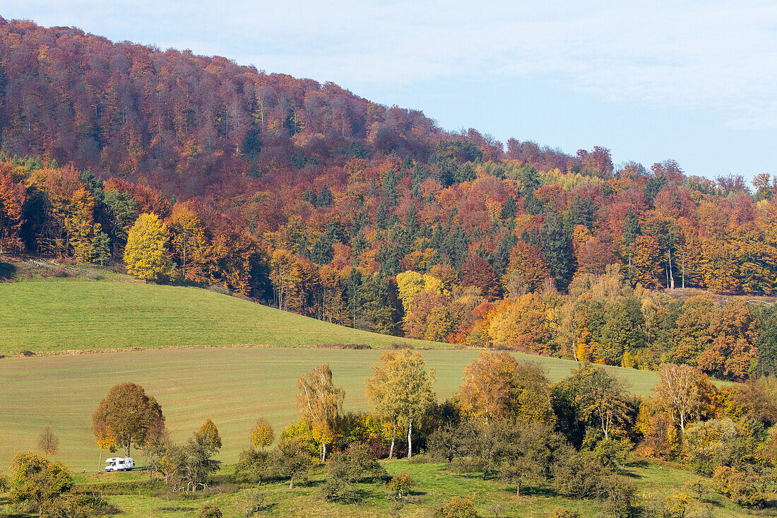 Felder, Huegel, Herbst, Mischwald, Landwirtschaft, lieblich, idyllisch, laendlich, Niedersachsen, Deutschland