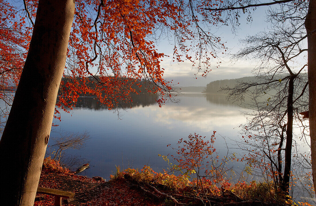 Pinnower See im Herbst bei Schwerin, Mecklenburg Vorpommern, Deutschland