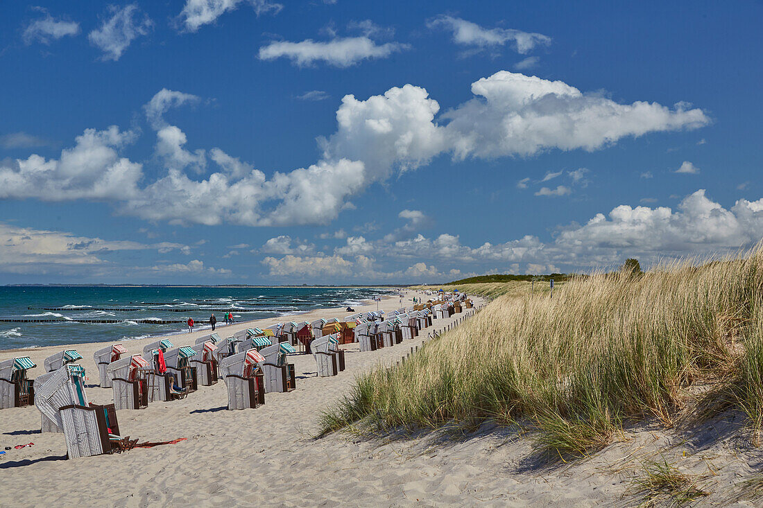 Baltic Sea beach near Graal Mueritz, Mecklenburg Western Pomerania, Germany