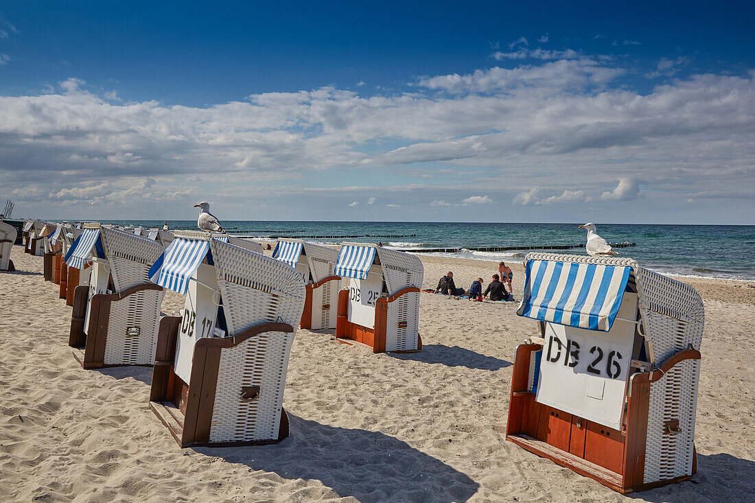 Beach chairs on the beach, Kuehlungsborn, Baltic Sea Coast, Mecklenburg Western Pomerania, Germany