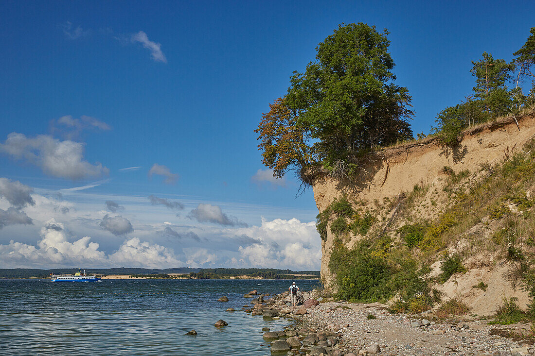 Steep coast at Reddevitzer Hoeft, Moenchgut, Ruegen, Mecklenburg Western Pomerania, Germany