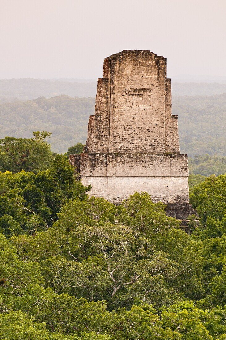 Tikal National Park (Parque Nacional Tikal), UNESCO World Heritage Site, Guatemala, Central America