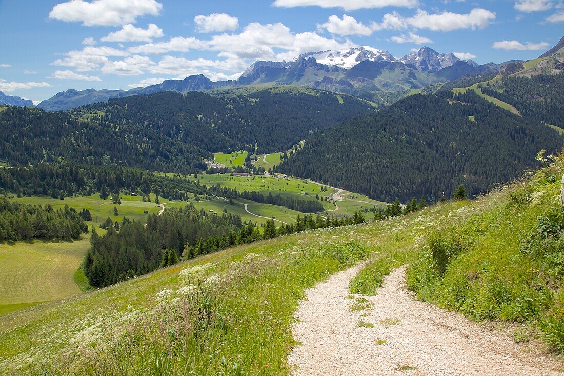 View from Col Alto, Corvara, Badia Valley, Bolzano Province, Trentino-Alto Adige/South Tyrol, Italian Dolomites, Italy, Europe
