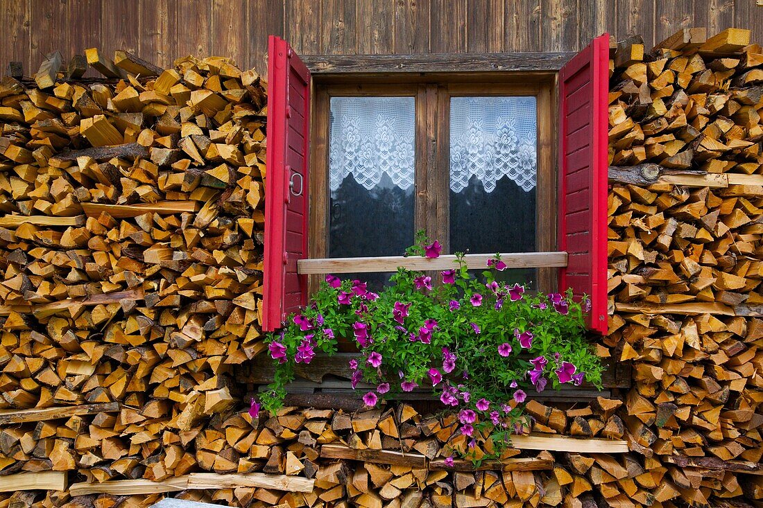 Firewood, Vigo di Fassa, Fassa Valley, Trento Province, Trentino-Alto Adige/South Tyrol, Italian Dolomites, Italy, Europe