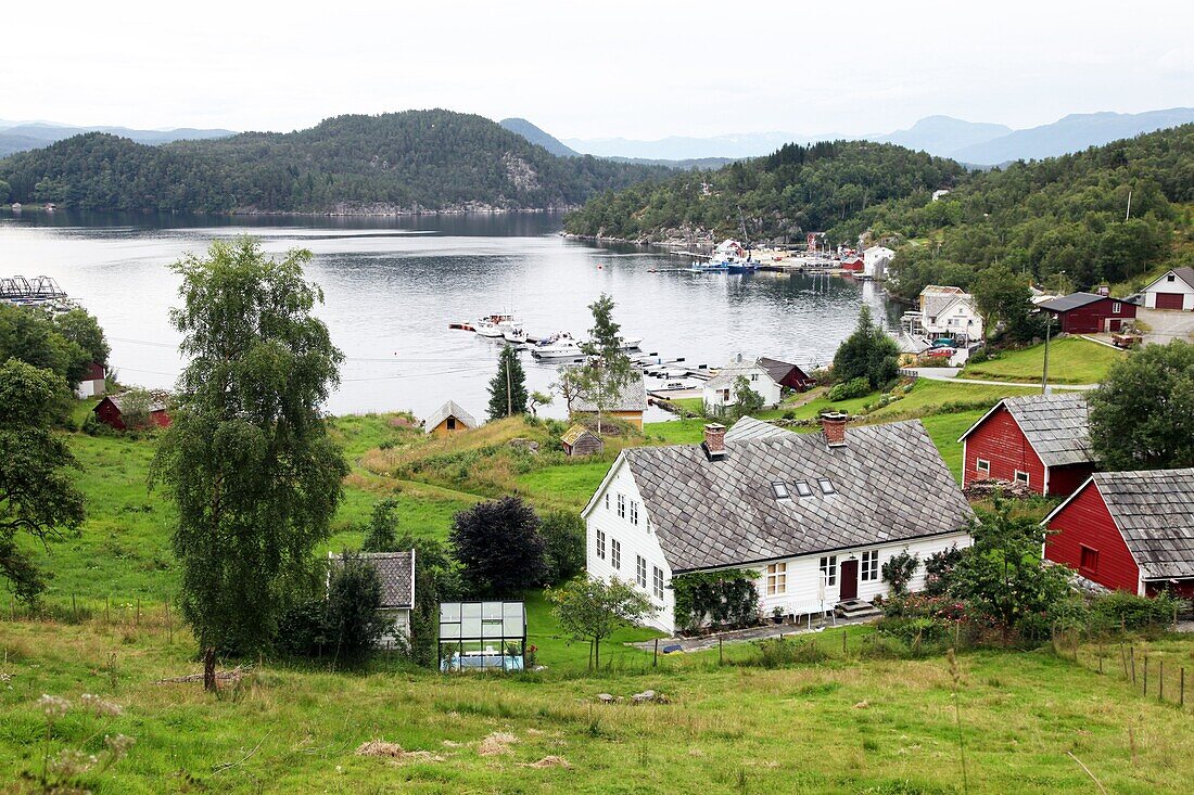 Harbour and farmhouses on Island of Borgundoya, Hardangerfjord, Norway, Scandinavia, Europe