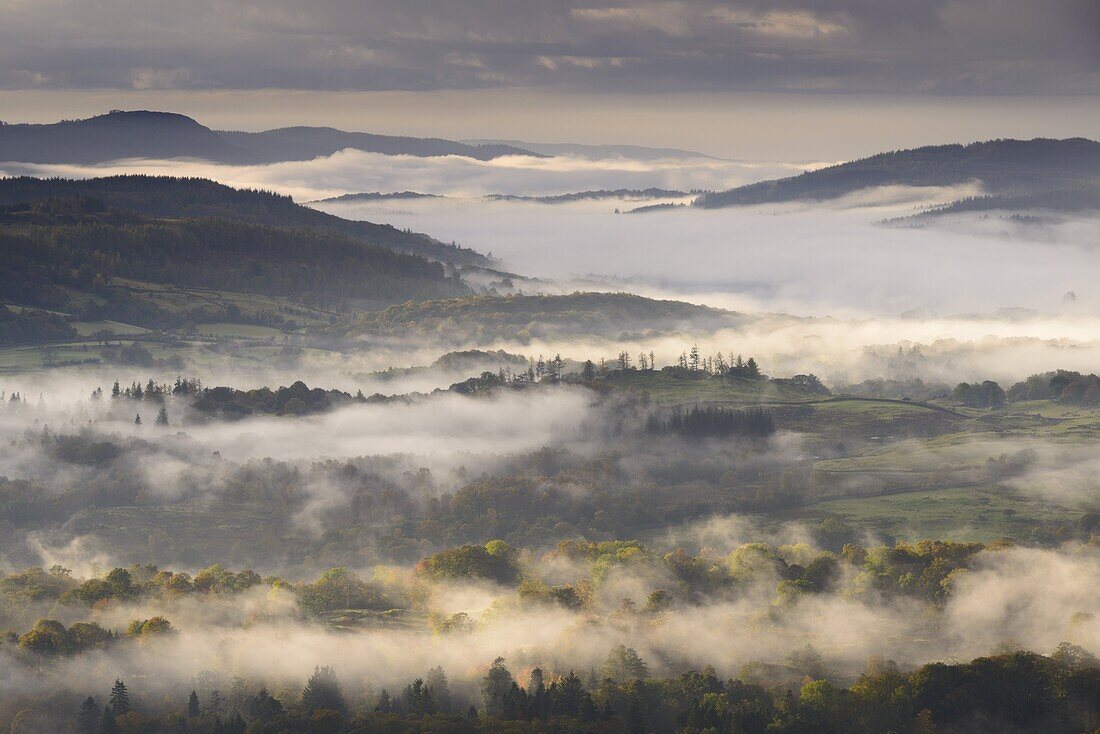 Mist covered Lake District countryside at dawn, Cumbria, England, United Kingdom, Europe