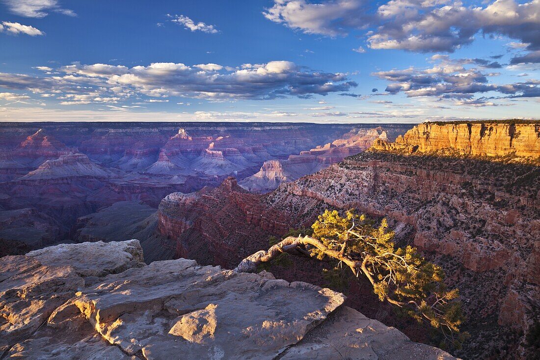 Pipe Creek Vista Point Overlook, South Rim, Grand Canyon National Park, UNESCO World Heritage Site, Arizona, United States of America, North America