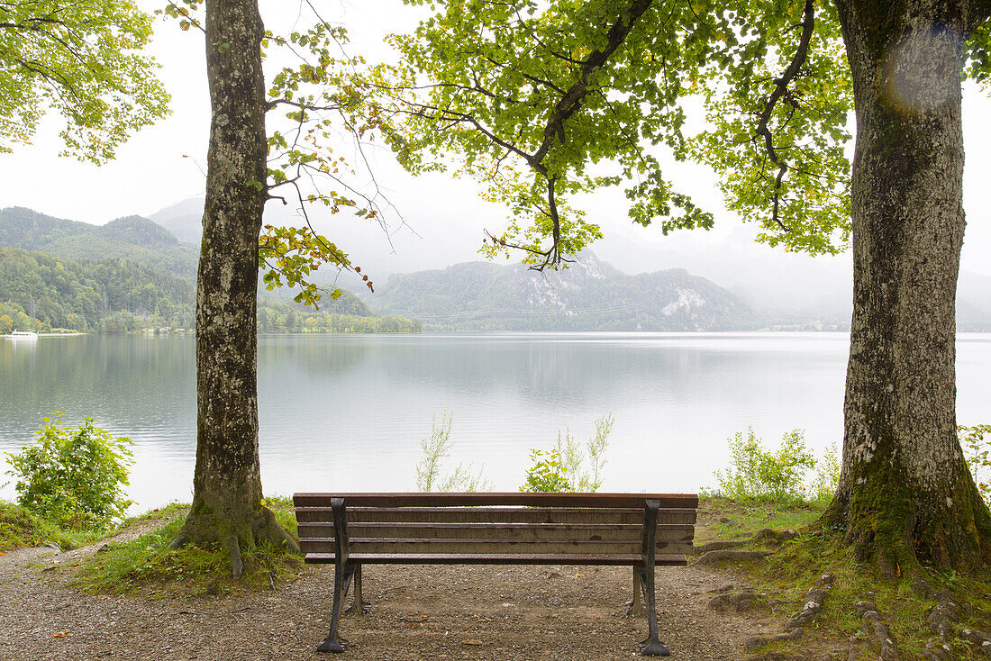 Einsame Bank steht unter Bäumen am Kochelsee. Der Nebel zieht von den Bergen ins Tal und die Stimmung ist herbstlich, Kochel, Bayern, Deutschland