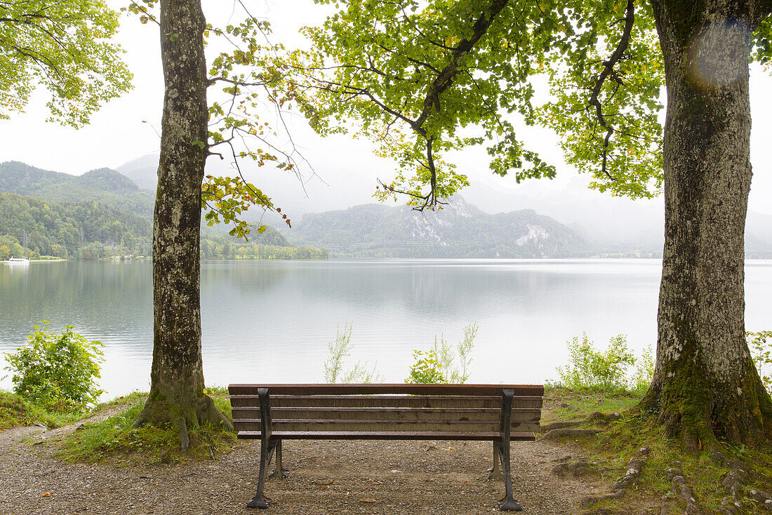 Lonely bench under trees at Lake Kochel. Mist descending from the mountains into the valley, Autumnal atmosphere, Kochel, Bavaria, Germany