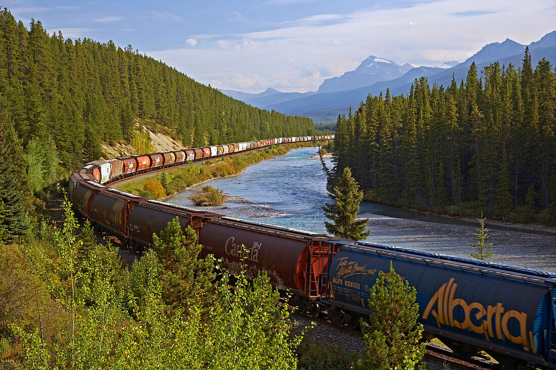 Eisenbahn am Bow River, Zug, Banff National Park, Rocky Mountains, Alberta, Kanada