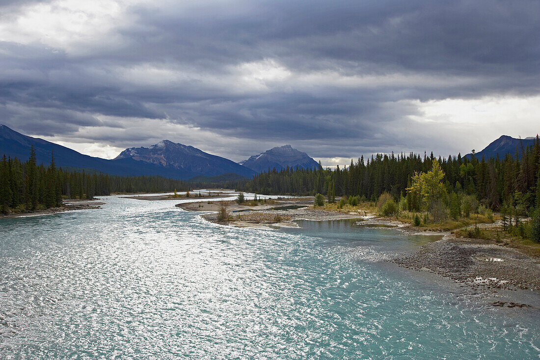 Landschaft am Athabasca River, Jasper National Park, Rocky Mountains, Alberta, Kanada