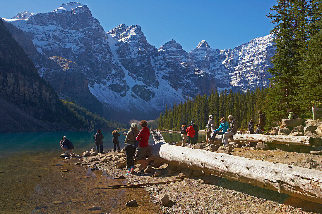 Morning at Moraine Lake, Drift wood, Banff National Park, Rocky Mountains, Alberta, Canada