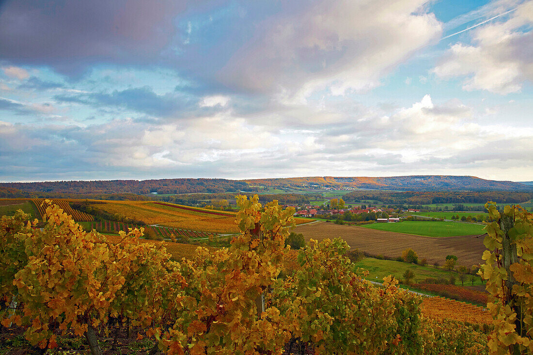 View from the Herrenberg over vineyards towards the Steigerwald, Kammerforst, Markt Oberschwarzach, Unterfranken, Bavaria, Germany, Europe