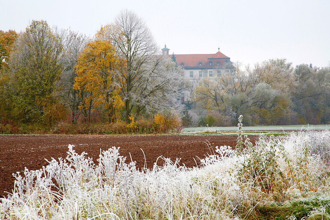 Blick über Feld auf Kloster Heidenfeld, Gemeinde Röthlein, Unterfranken, Bayern, Deutschland, Europa