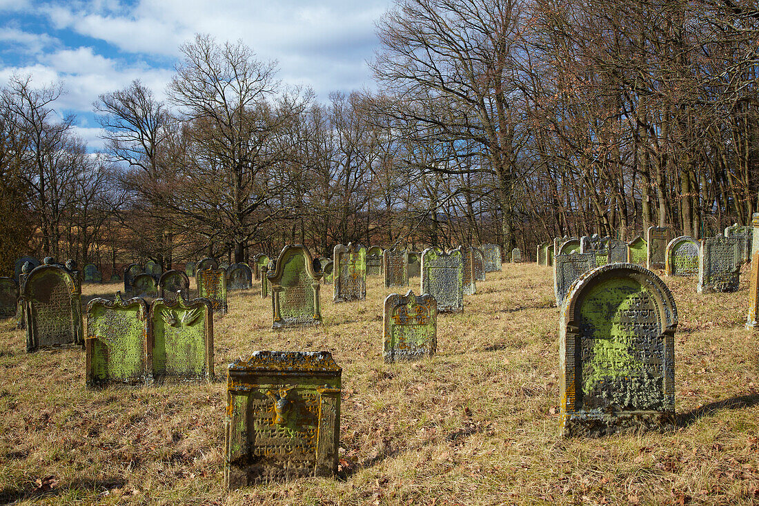 Judenfriedhof bei Euerbach, Unterfranken, Bayern, Deutschland, Europa