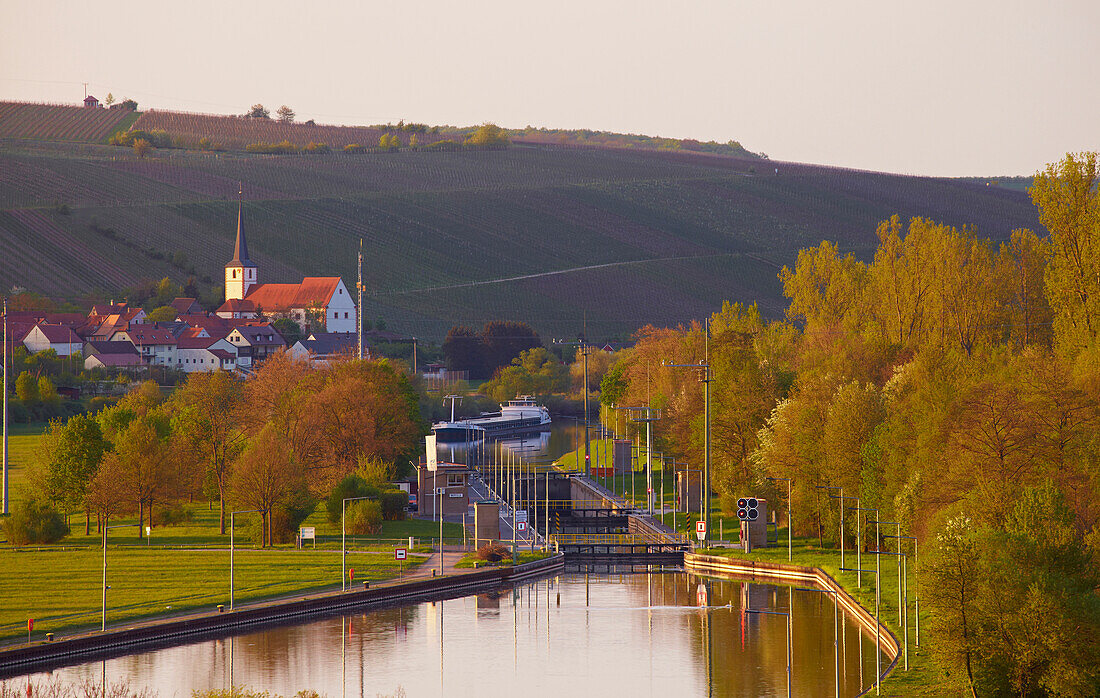 Blick von Wipfeld auf Stammheim mit Main und Schleuse und Weinberg, Frühling, Unterfranken, Bayern, Deutschland, Europa