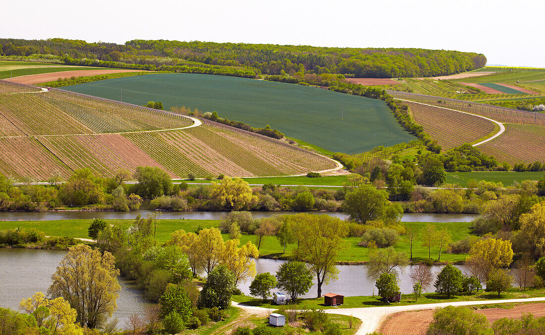 View across the river Main at the vineyards of Stammheim, Spring, Unterfranken, Bavaria, Germany, Europe