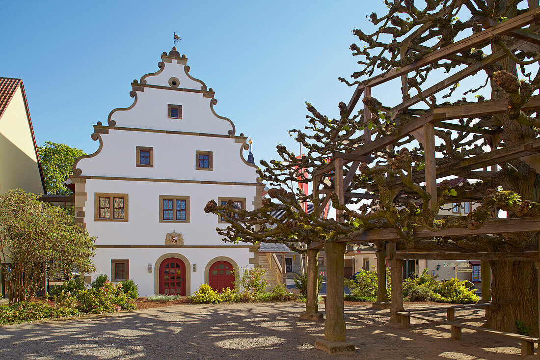 Dorfplatz mit ehemaliger Gerichtslinde und Rathaus von 1590, Frühling, Grettstadt, Unterfranken, Bayern, Deutschland, Europa