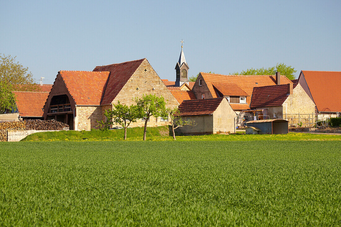 Farmhouses at Mutzenroth, Markt Oberschwarzach, Spring, Unterfranken, Bavaria, Germany, Europe