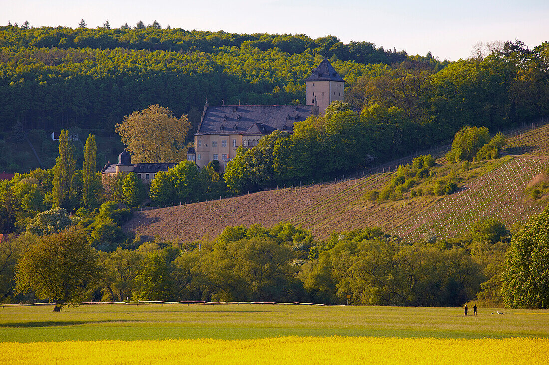 View across fields at Mainberg with Mainberg castle, Community of Schonungen, Unterfranken, Bavaria, Germany, Europe
