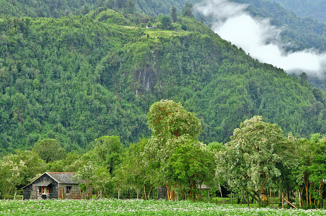 'Blockhouse and fog at valley Valle Cochamo, Región de los Lagos, Patagonia, Andes, Chile, Südamerika;'