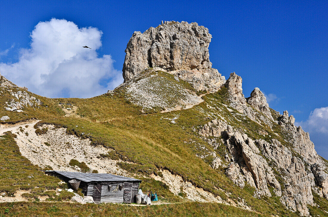 Small hut and rock formation near the mountain Rotwand, part of Rosengarten, Catinaccio, St. Zyprian, Tiers, Tiers Valley, Nature Park Schlern Rosengarten, Dolomites, South Tyrol, Alto Adige, UNESCO world heritage side, Italy, European Alps, Europe