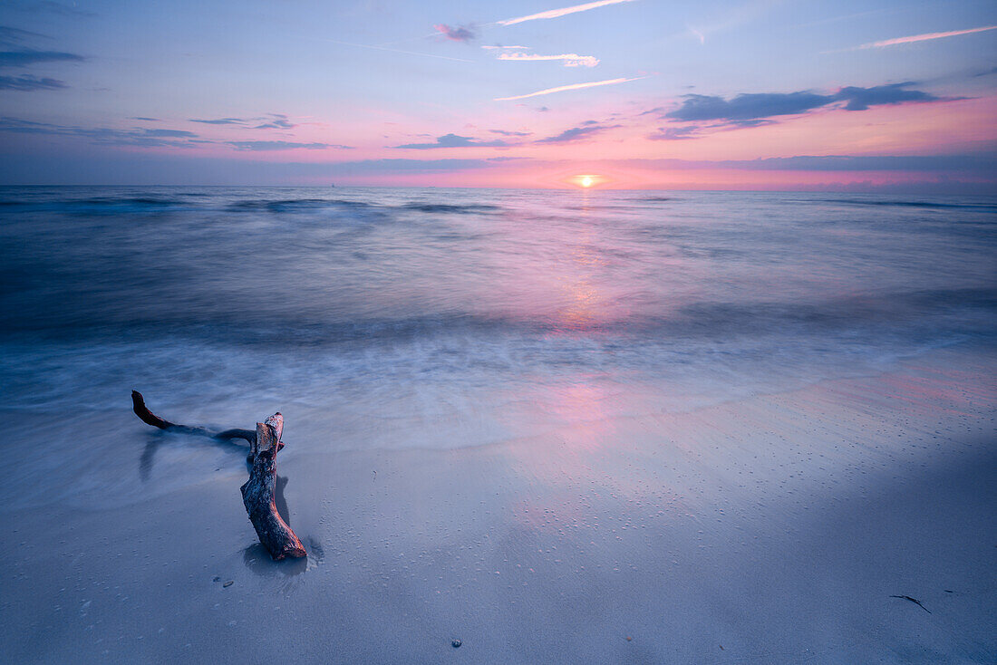 driftwood at beach at Baltic Sea  at sunset, Weststrand between Darßer Ort and Prerow,  National Park Vorpommersche Boddenlandschaft, Zingst Darß Fischland Peninsula, Mecklenburg Western Pomerania, Germany