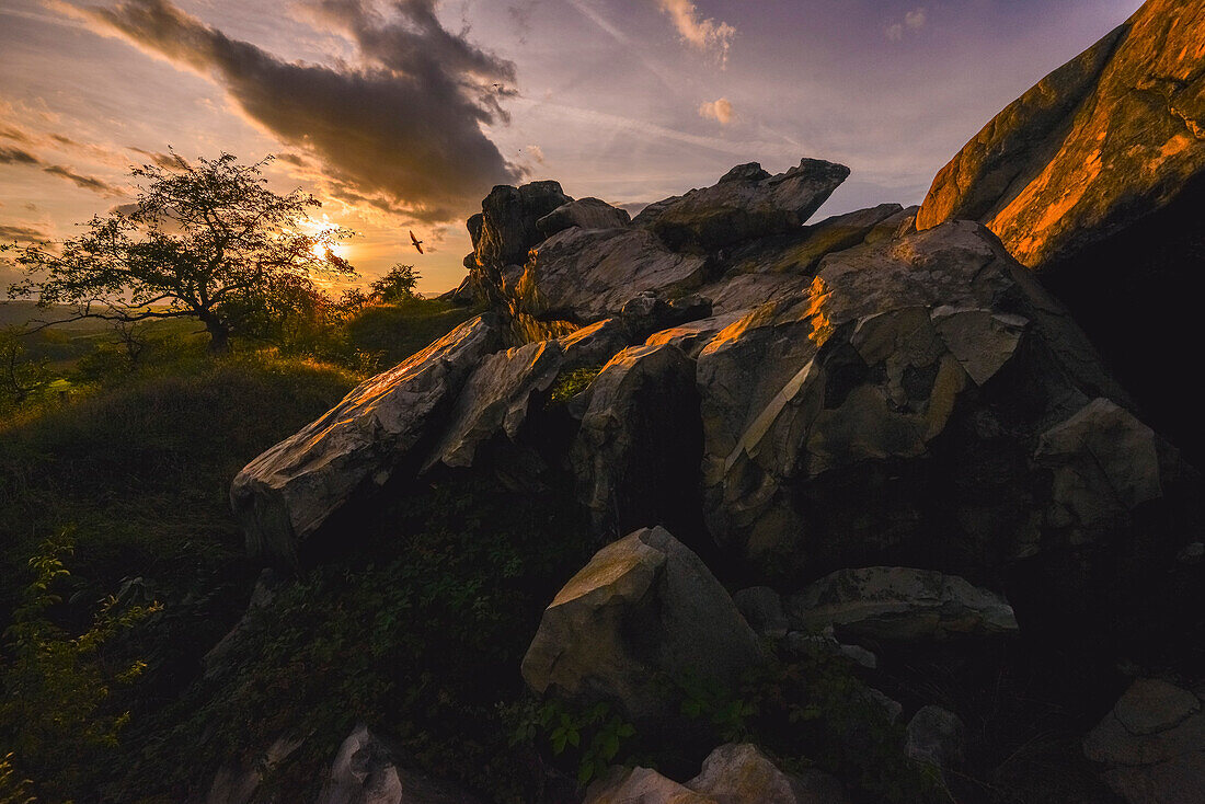 Felsformation Mittelsteine, Teil der Teufelsmauer bei Sonnenuntergang, zwischen Weddersleben, Neinstedt und Thale, Harzvorland, Harz, Sachsen-Anhalt, Deutschland