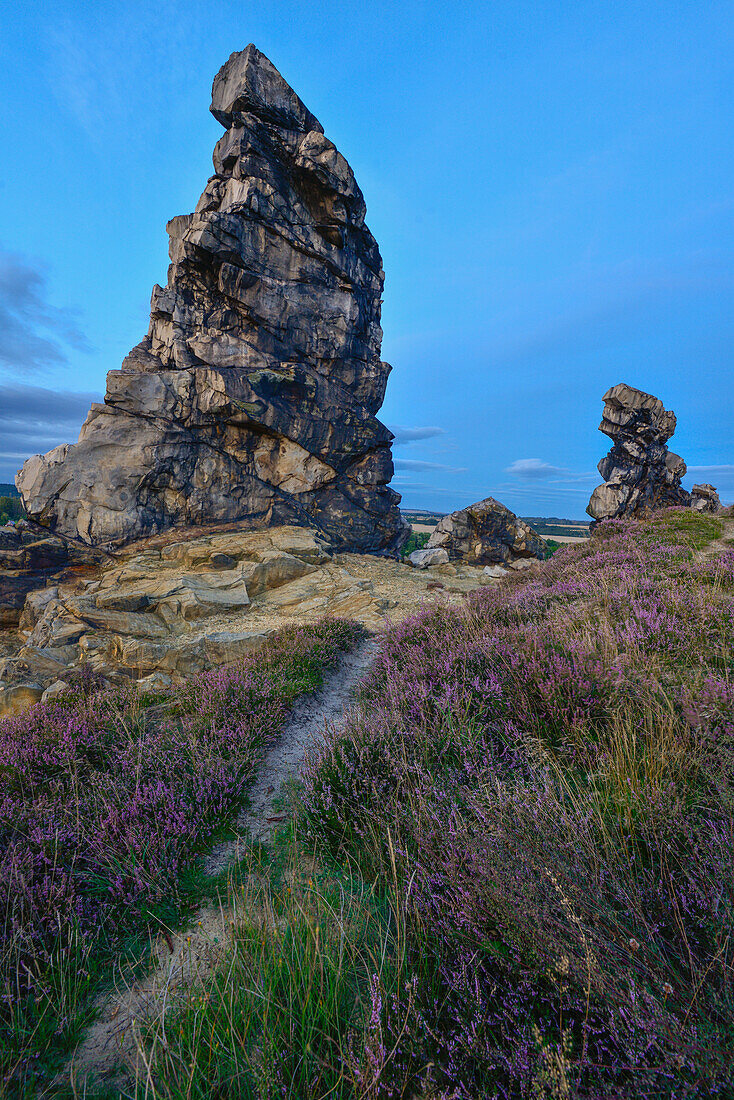 rock formation Mittelsteine, part of Devil´s Wall (Teufelsmauer) and heather at a hiking trail, between Weddersleben, Neinstedt, Thale, Harz Foreland, Harz Mountains, Saxony-Anhalt, Germany