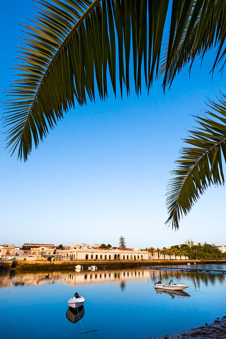 View across Rio Gilao towards the old market hall (Mercado da Ribeira), Tavira, Algarve, Portugal