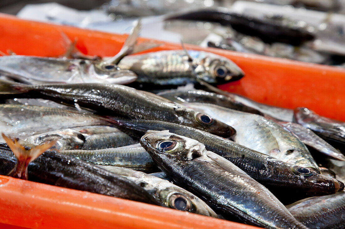 Sardinen auf dem Markt, Algarve, Portugal