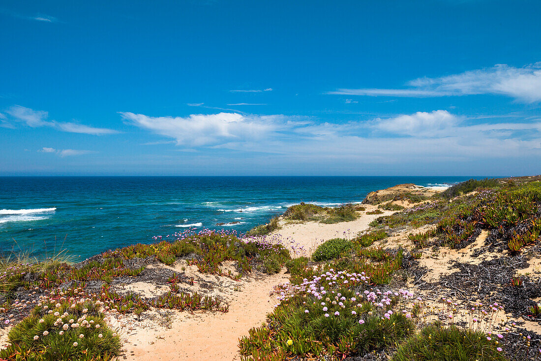 Coastline, Almograve, Costa Vicentina, Alentejo, Portugal