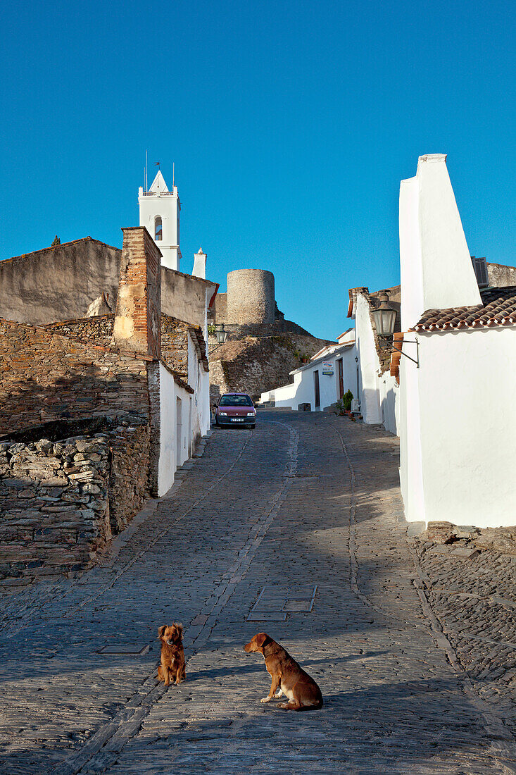 Dogs on a cobbled street, Monsaraz, Alentejo, Portugal