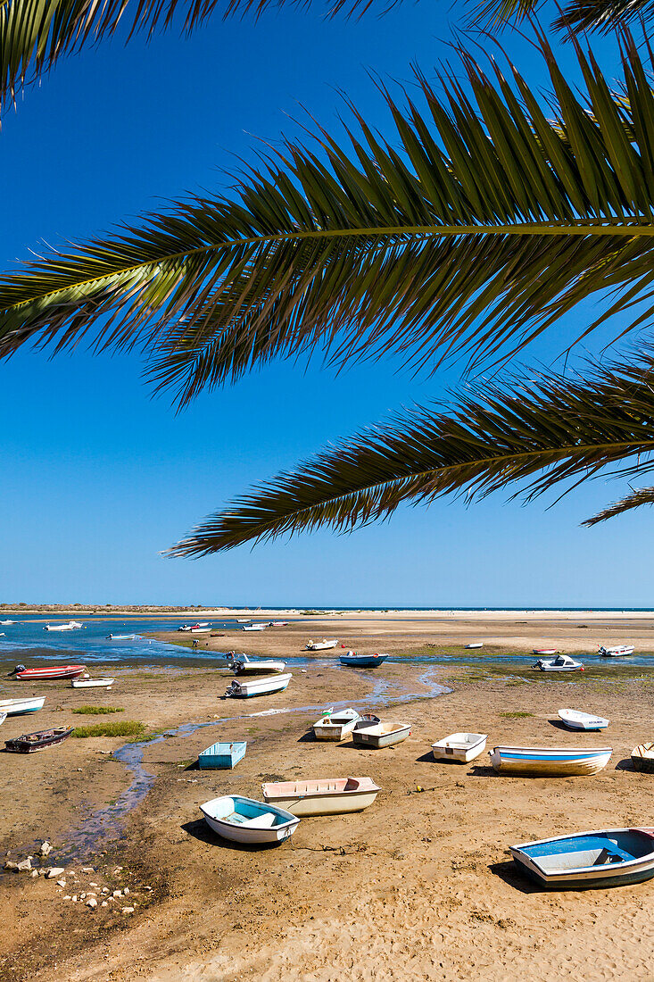 Palmen und Boote am Strand, Lagune, Fabrica bei Cacela Velha, Algarve, Portugal